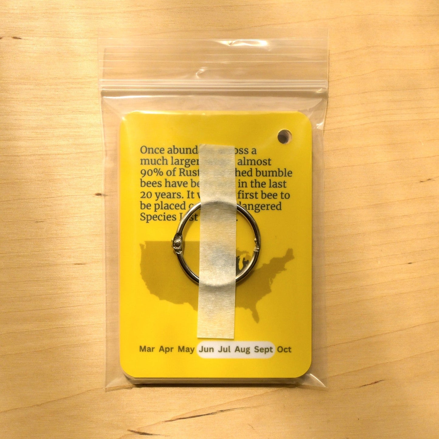 Bumble Bees of Central USA Field Guide Cards