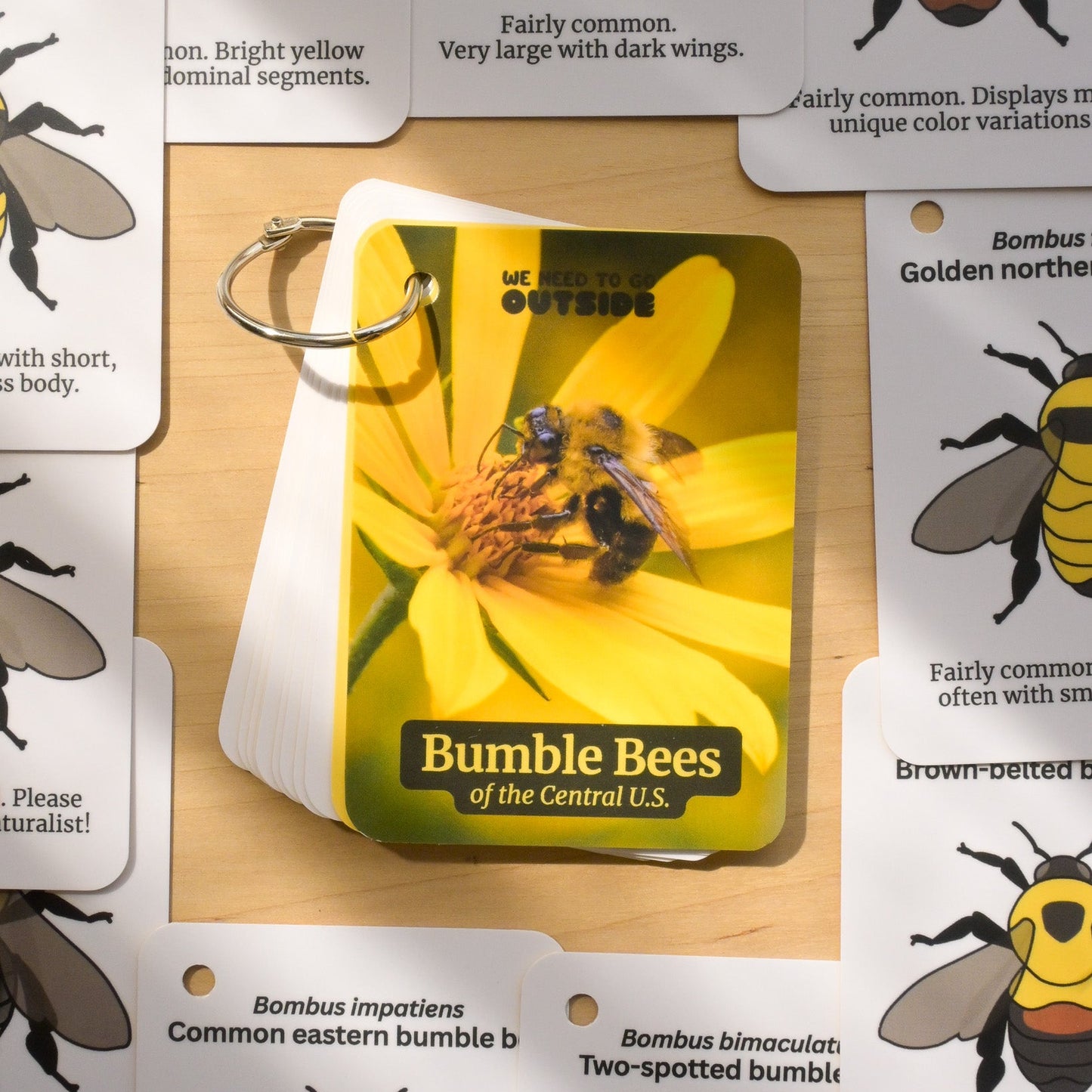 Bumble Bees of Central USA Field Guide Cards