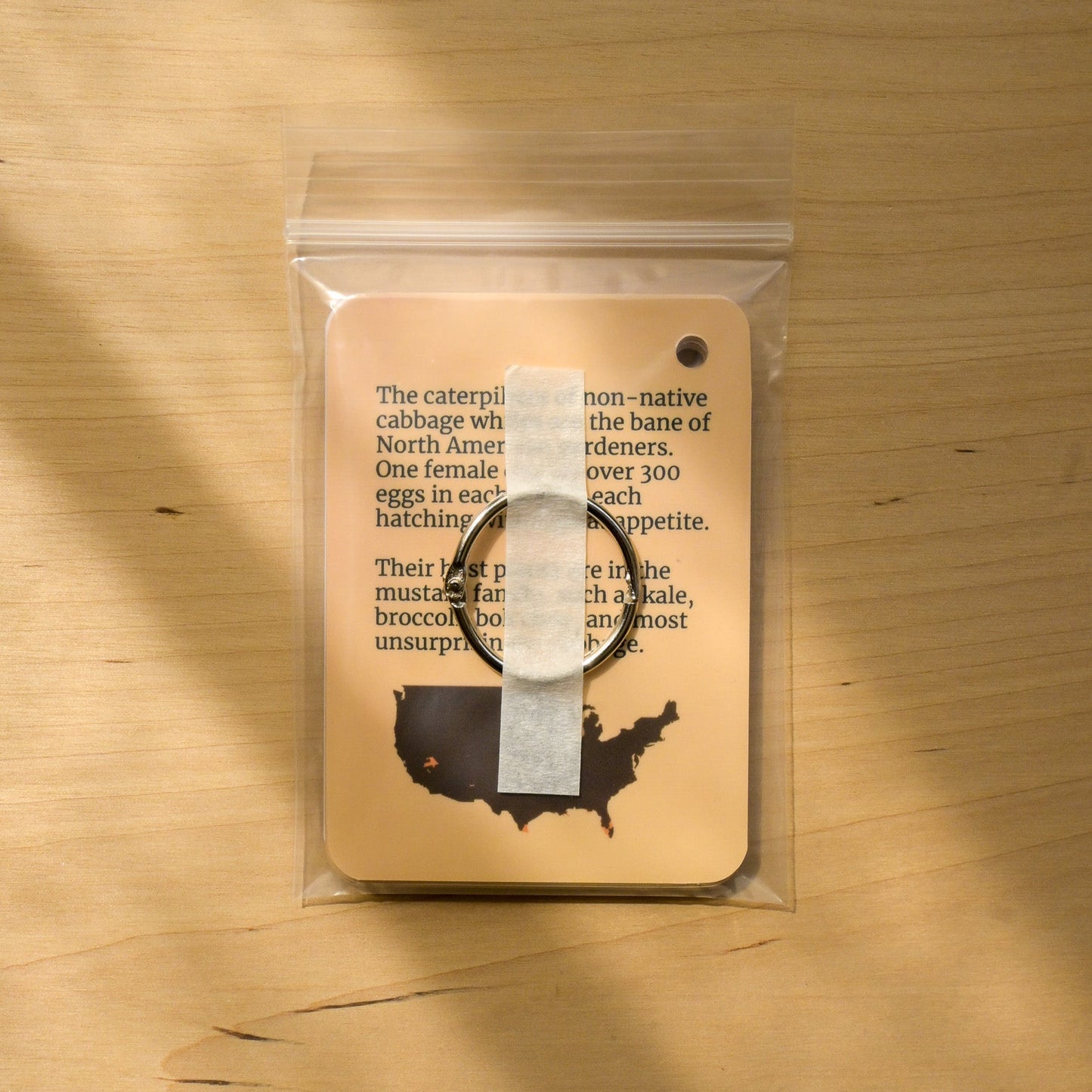 Butterflies of Central USA Field Guide Cards