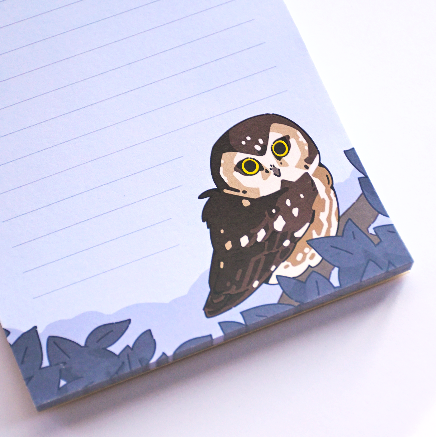 Saw-whet Owl Notepad