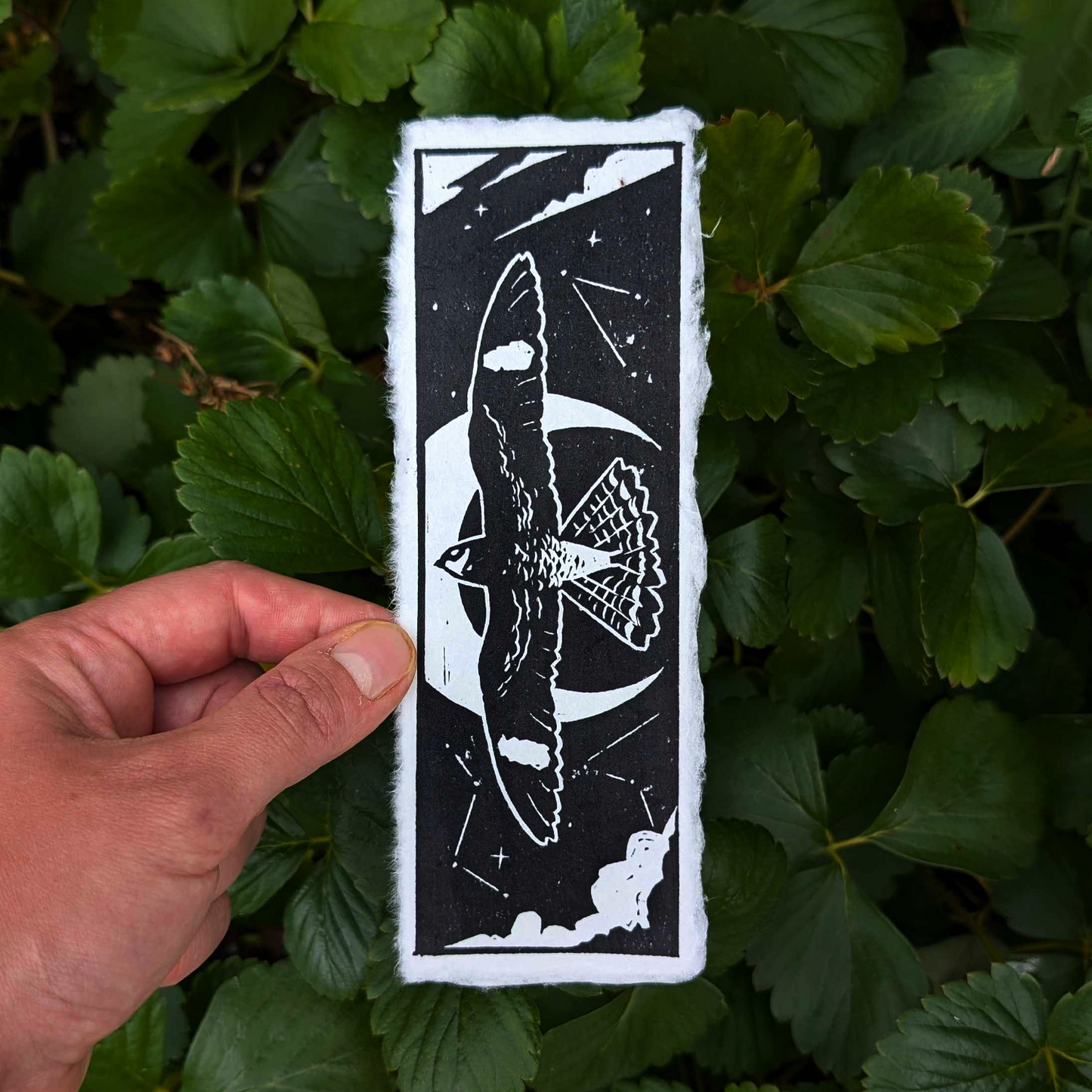 Handmade Nighthawk Print