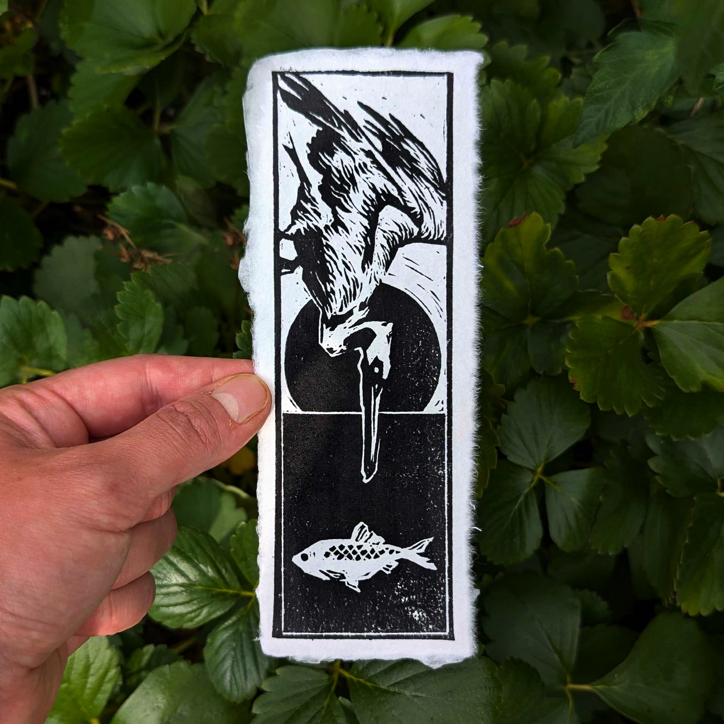 Handmade Pelican Print