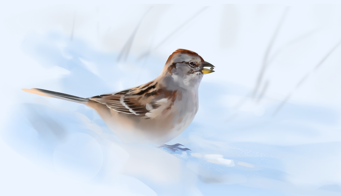 shooting my own reference photos