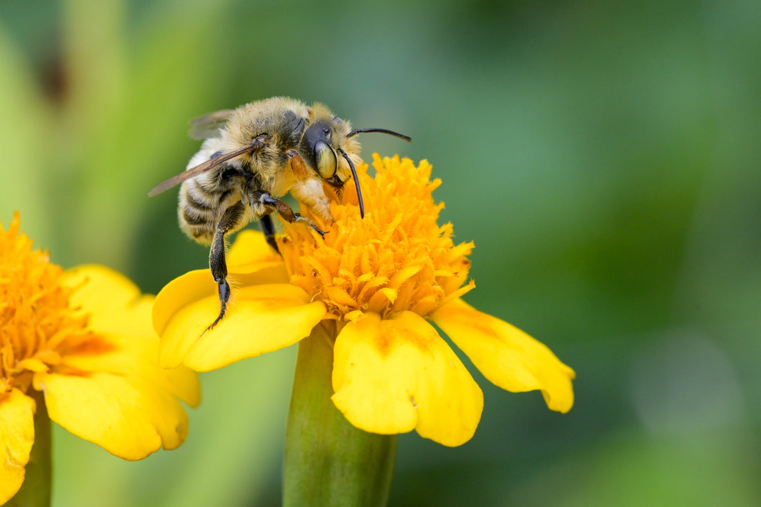 beginner macro part 4: troubleshooting