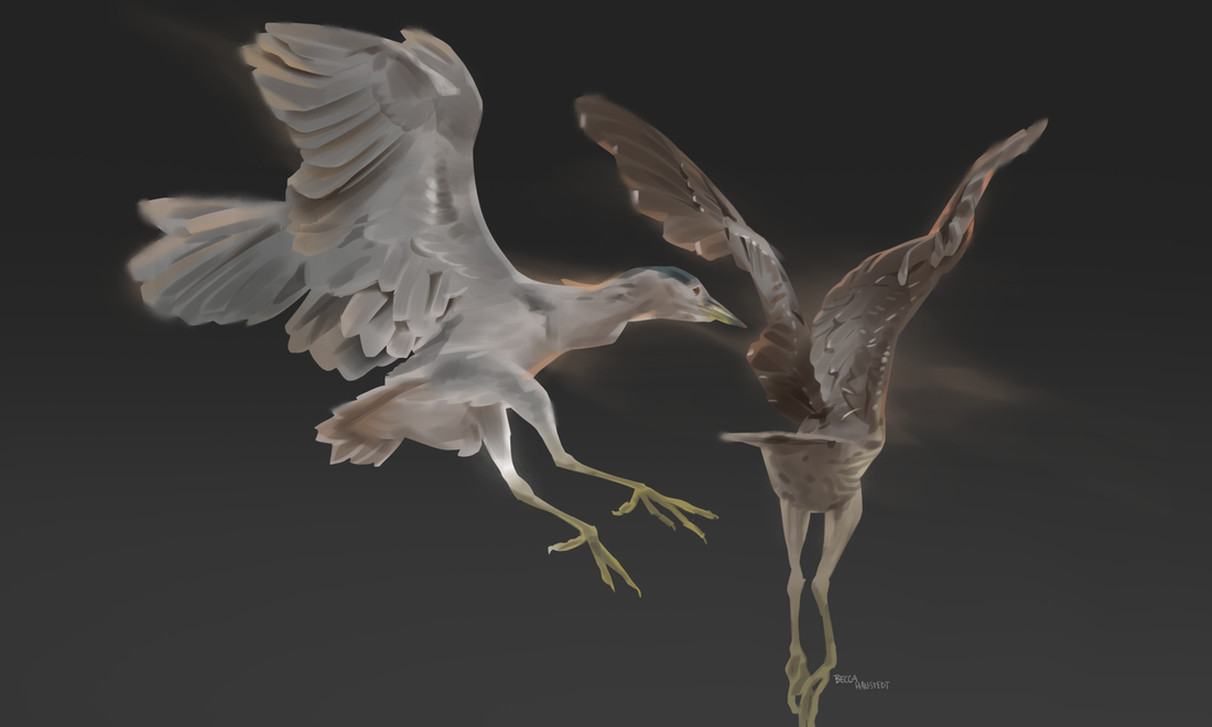 shooting my own reference photos