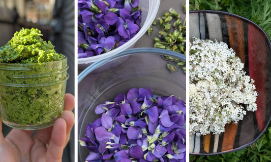 2024 foraging highlights