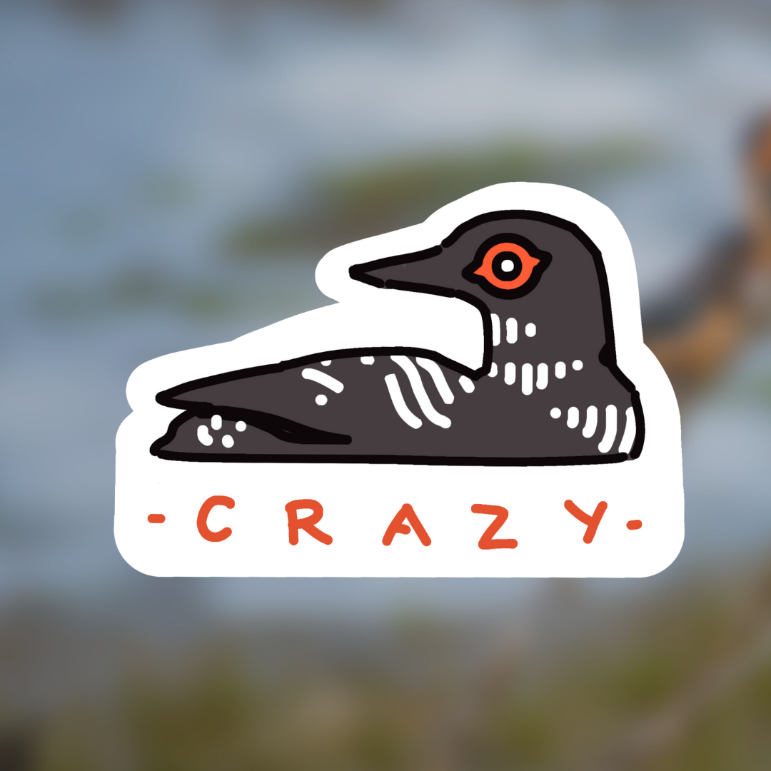 Crazy Sticker