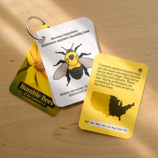 Bumble Bees of Central USA Field Guide Cards