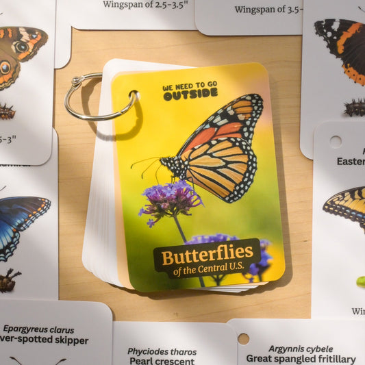 Butterflies of Central USA Field Guide Cards
