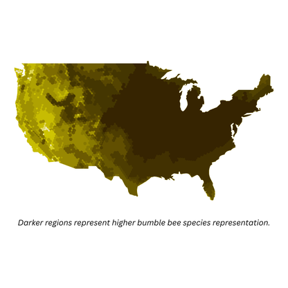 Bumble Bees of Eastern USA Field Guide Cards