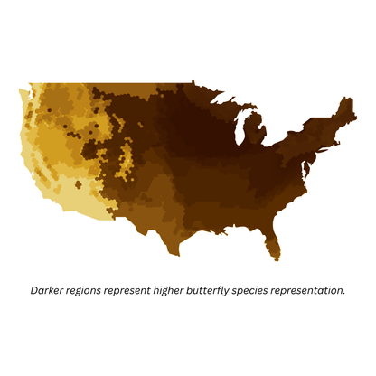 Butterflies of Eastern USA Field Guide Cards