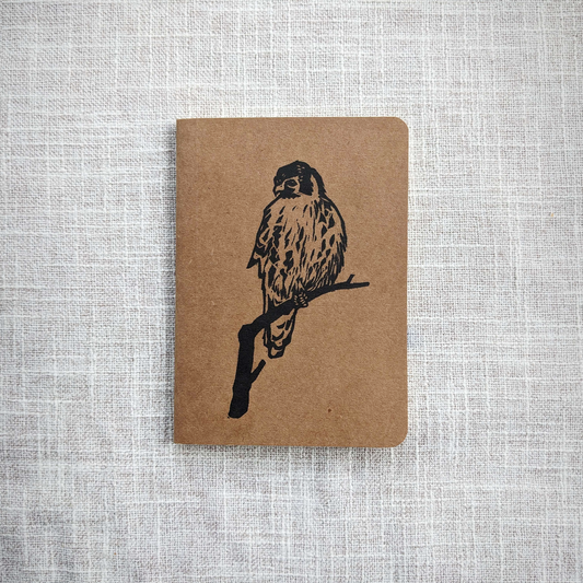 Kestrel Notebook