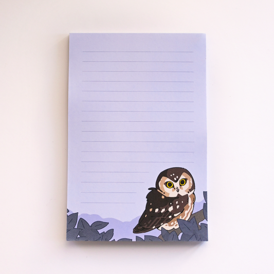 Saw-whet Owl Notepad
