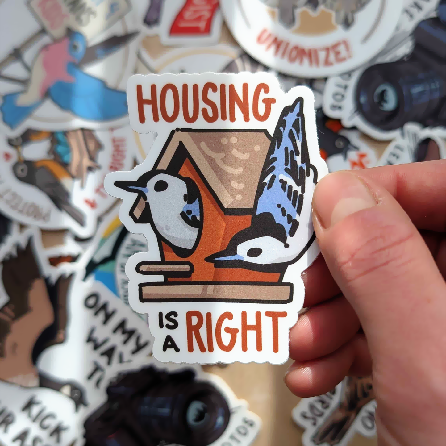 Housing is a Right Sticker