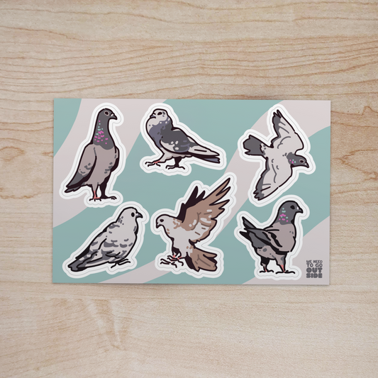 Pigeons Sticker Sheet