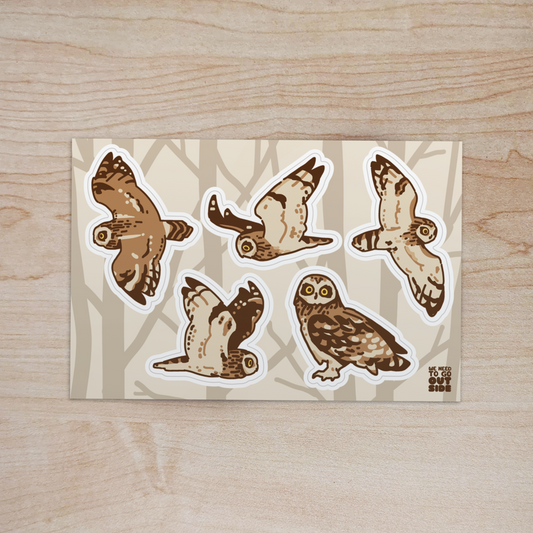 Short-eared Owl Sticker Sheet