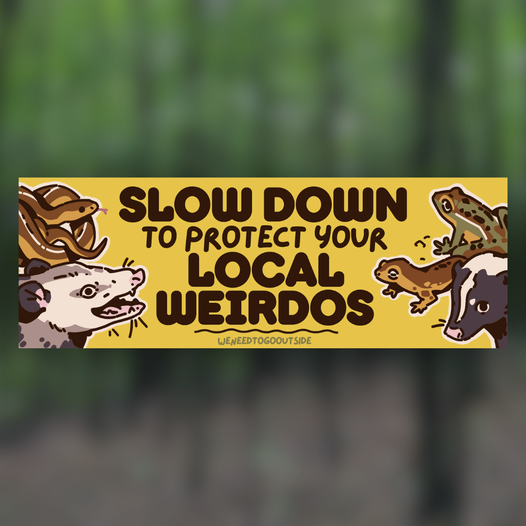 Slow Down Bumper Sticker